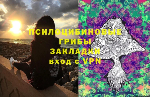 бутират Богданович