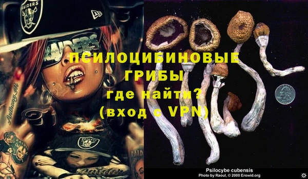 бутират Богданович