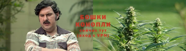 соль ск Богородицк