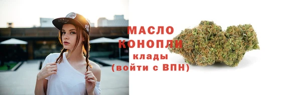 твердый Богородск