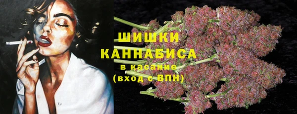 бутират Богданович