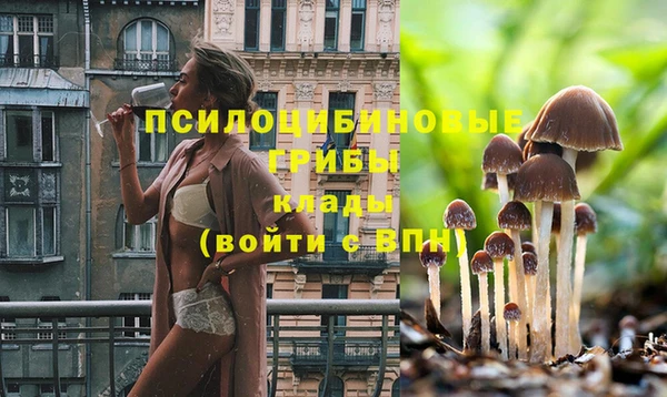 твердый Богородск