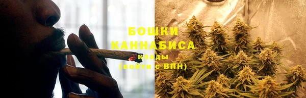 твердый Богородск