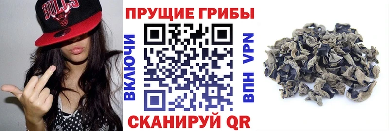 Псилоцибиновые грибы Magic Shrooms  мега как зайти  Новоржев 